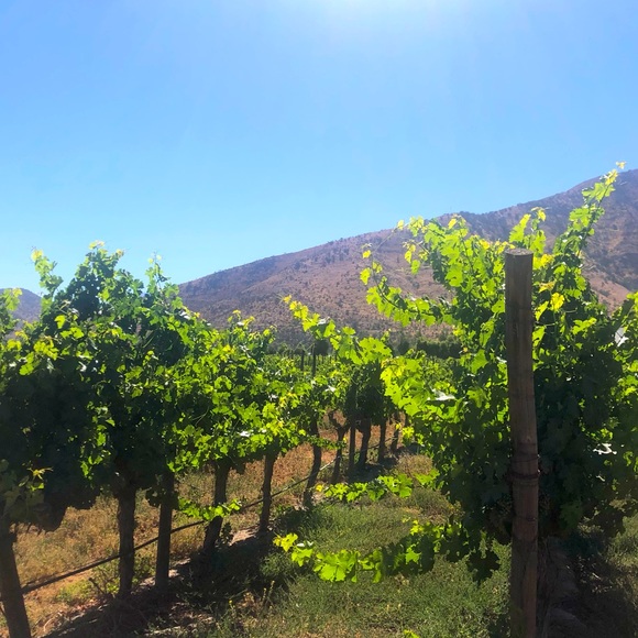 Meet your Posher! - Picture 1 of 1